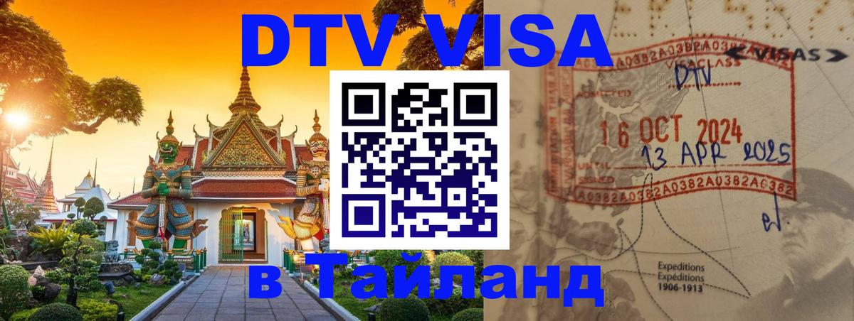 Оформление DTV визы под ключ: стоимость и тарифы, только загранпаспорт - 18.11.2025 